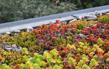 the cost of Great Walsingham green roof installation