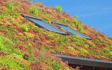 Great Walsingham living roof systems